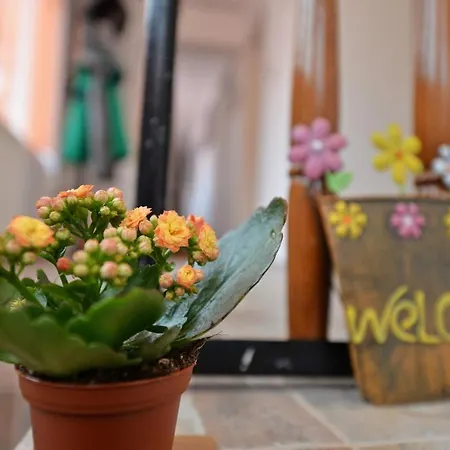 Dom wakacyjny Roca House *