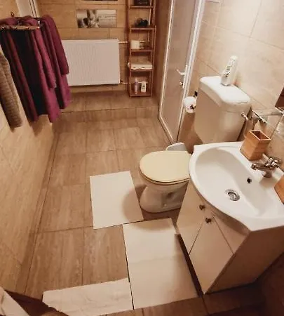 Roca House * براشوف