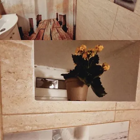 Roca House בית נופש בראשוב