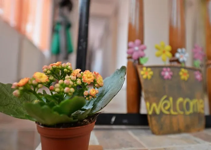 Semesterbostad Roca House *