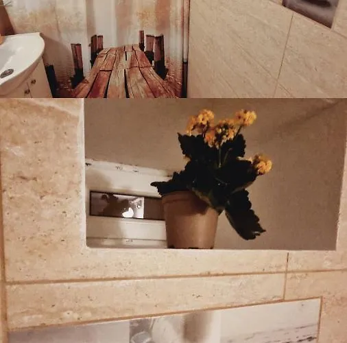 Roca House Hébergement de vacances Braşov