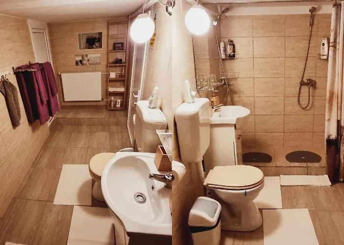 Roca House * Braşov