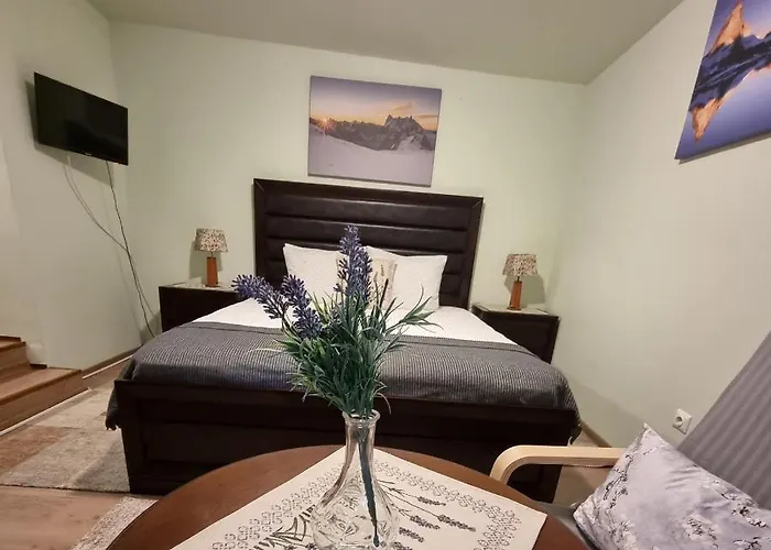 Roca House * ブラショフ