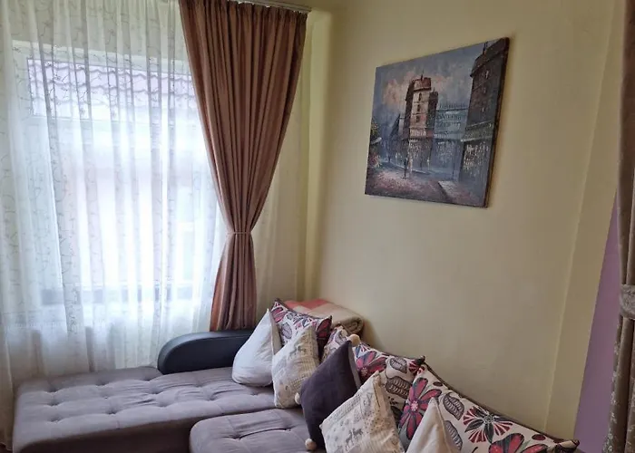 Hébergement de vacances Roca House Braşov