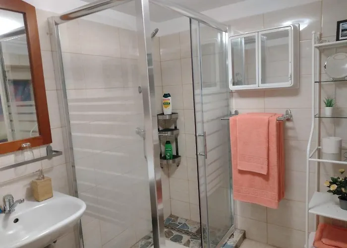 Hébergement de vacances Roca House Braşov