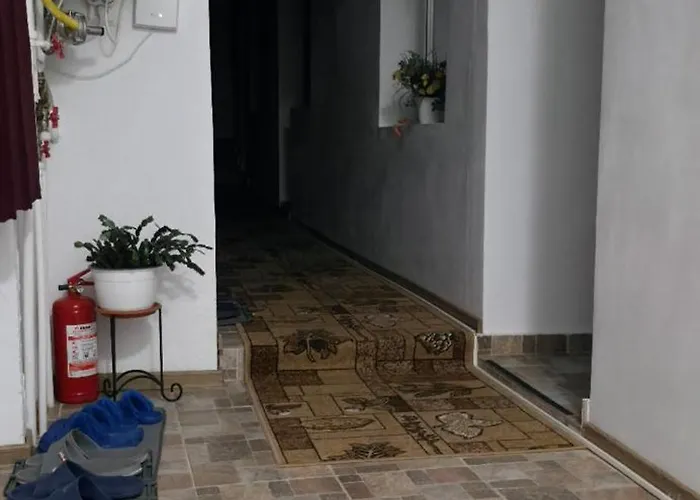 Semesterbostad Roca House Braşov